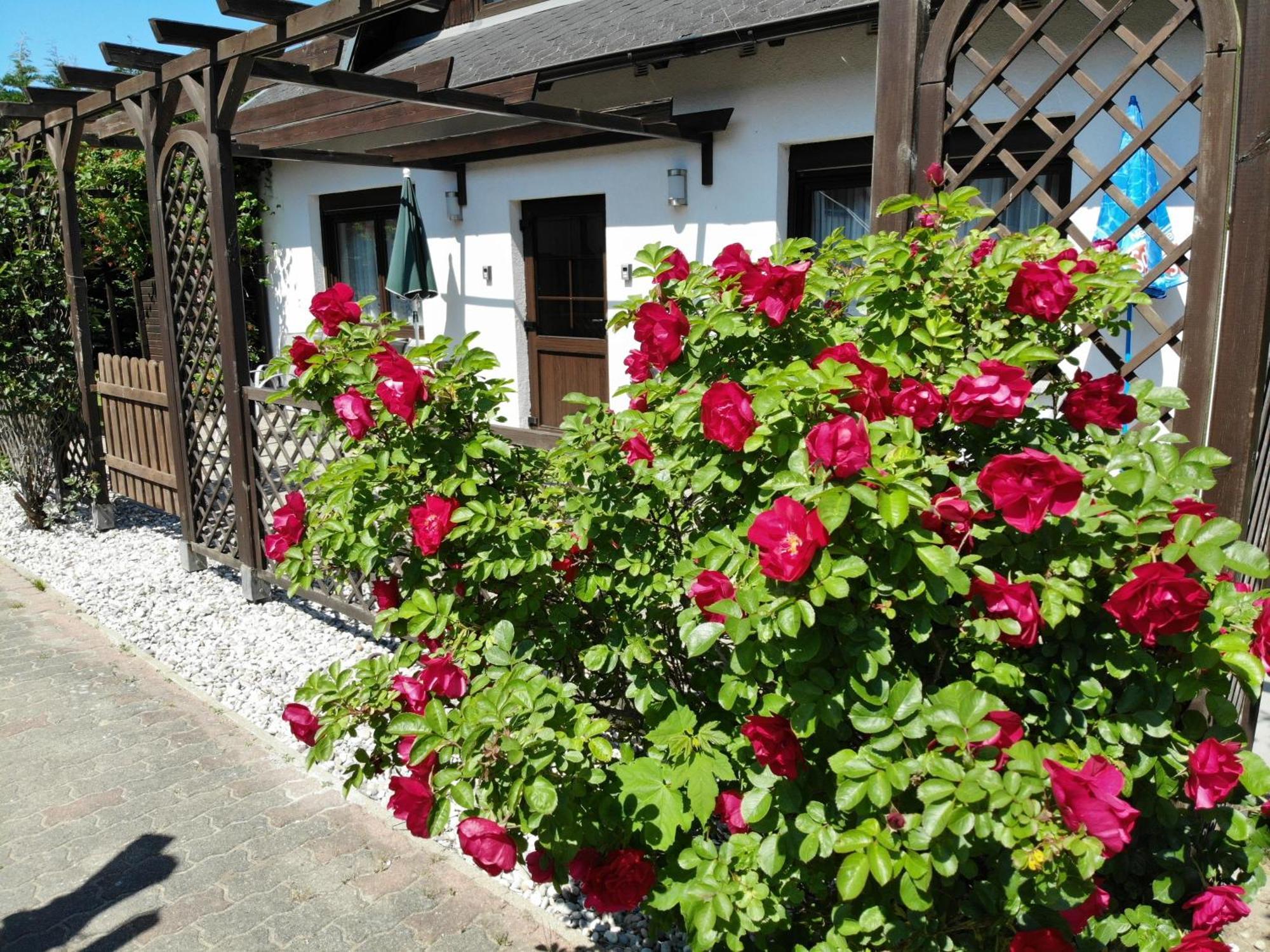 Ferienhaus Kress Rechts Sellin (Rugen) Exterior foto